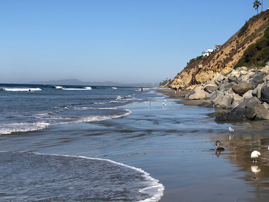 Cliff on Moonlight State Beach